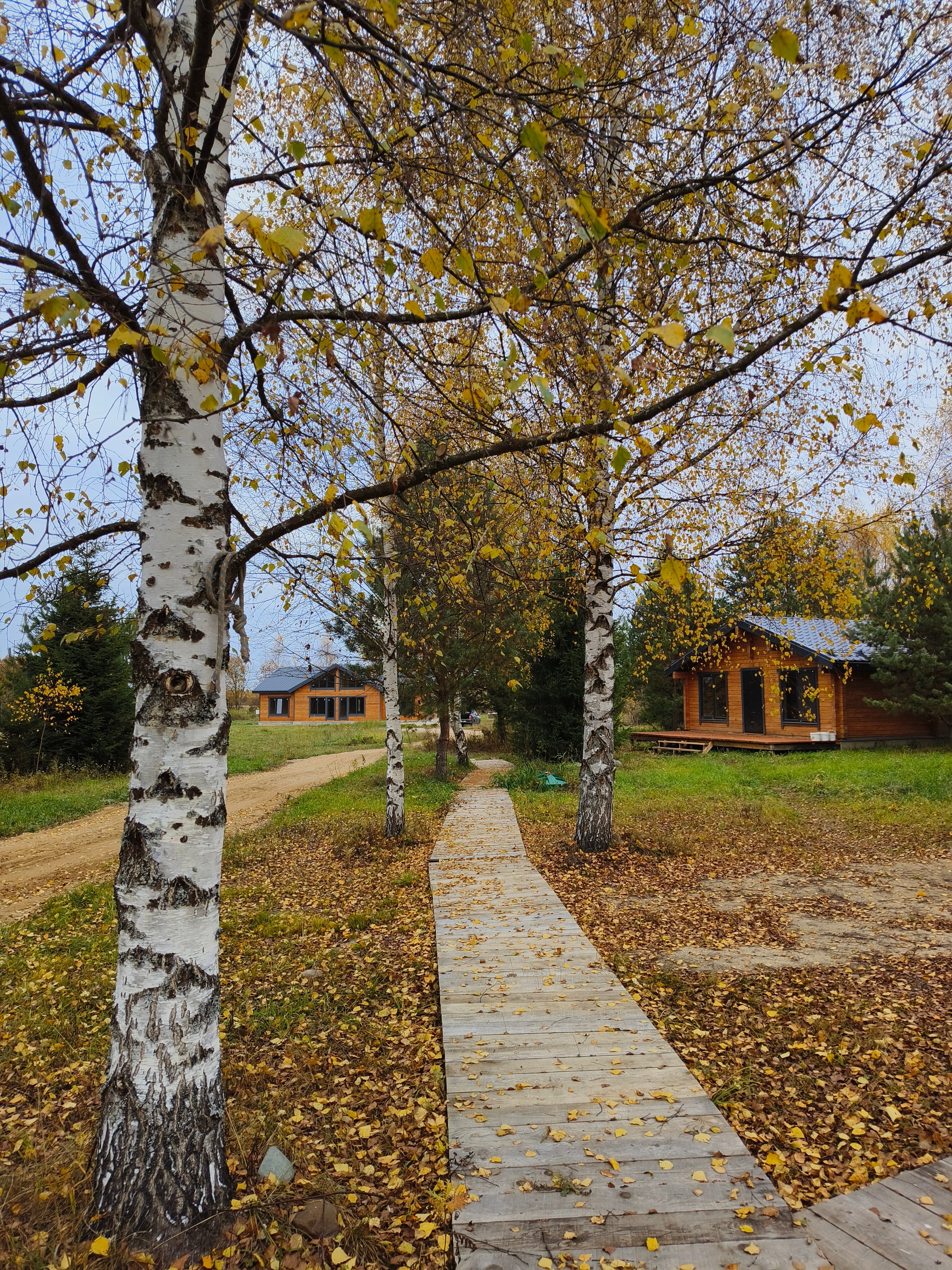 Фото Усадьба Добрынино