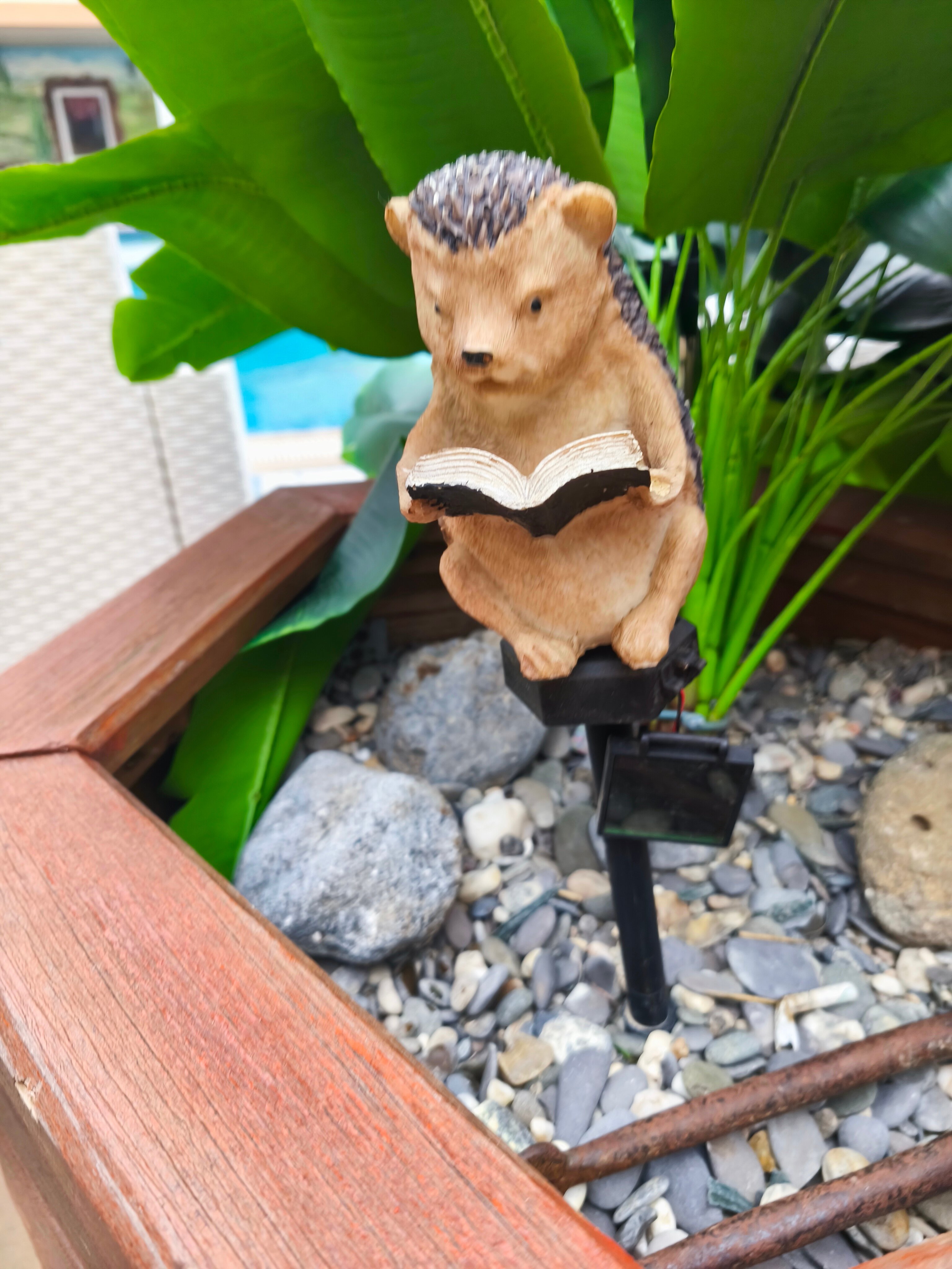 Фото Vita Wellnes & SPA