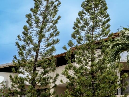 Фото Hotel Tropicana Pattaya