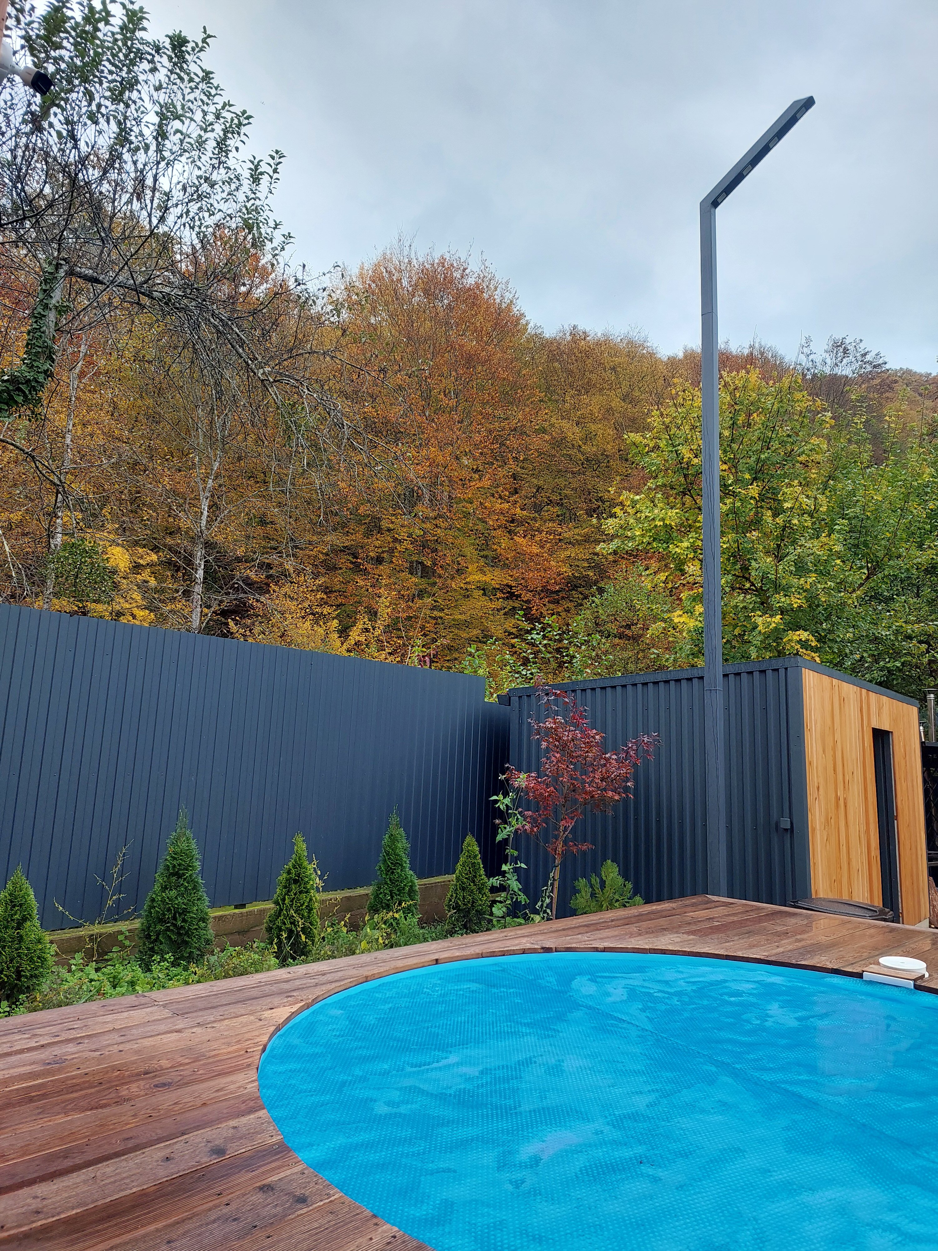 Фото Лес и Горы