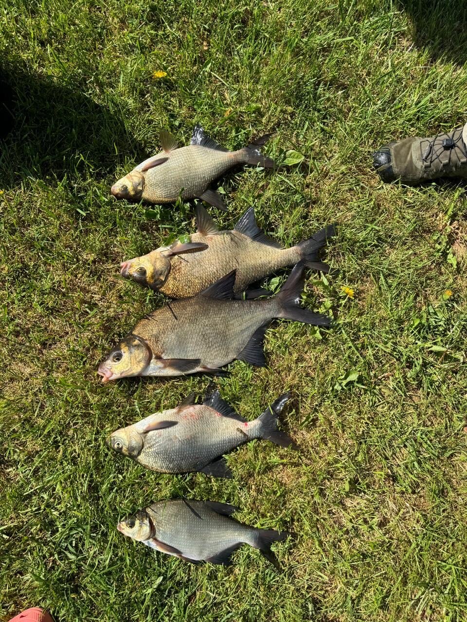 Фото Никольский Стан