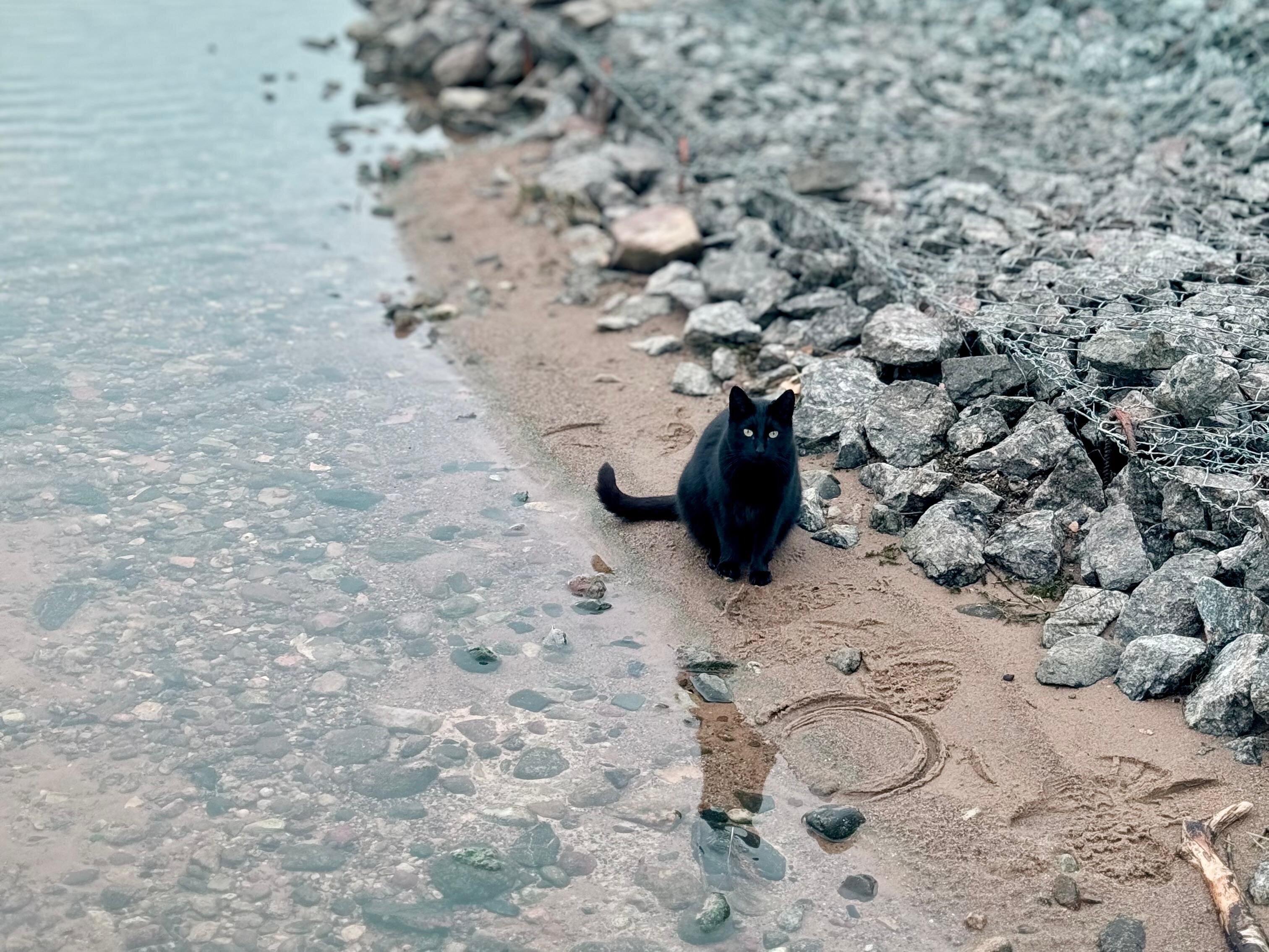 Фото Никольский Стан