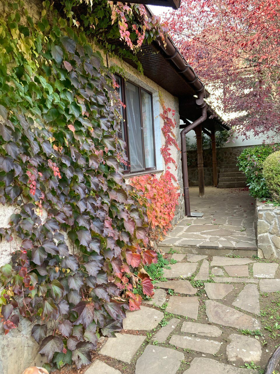 Фото Райский уголок