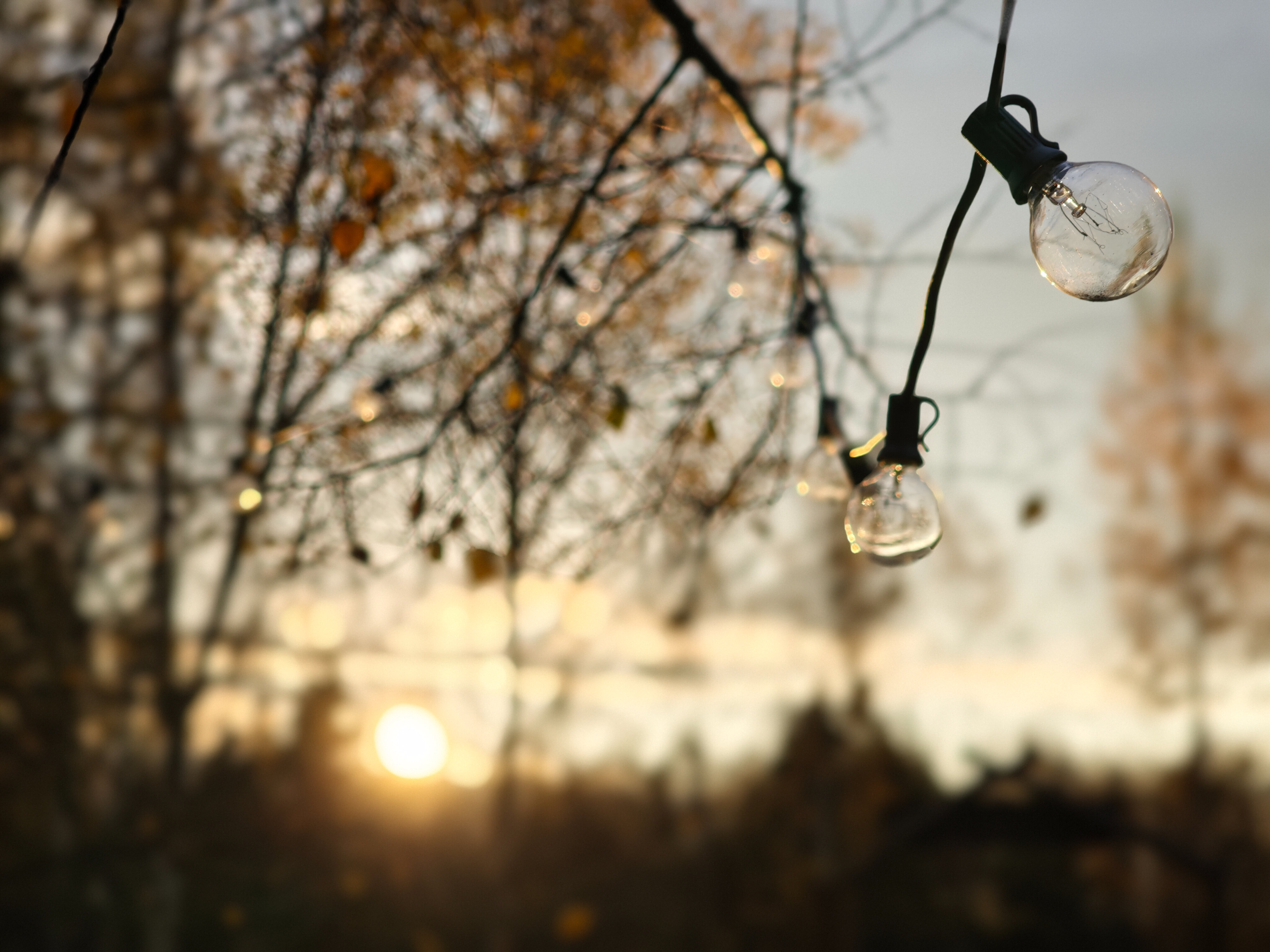 Фото Дом Варяга