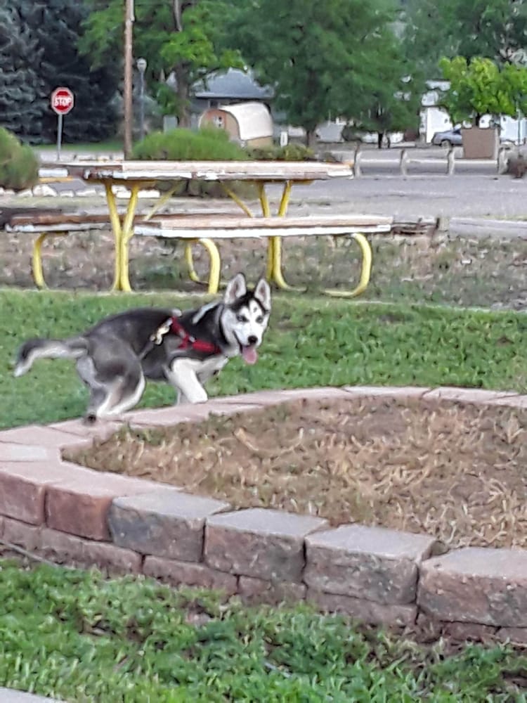 Фото El Rancho Motel
