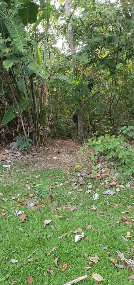 Фото Albrook Inn