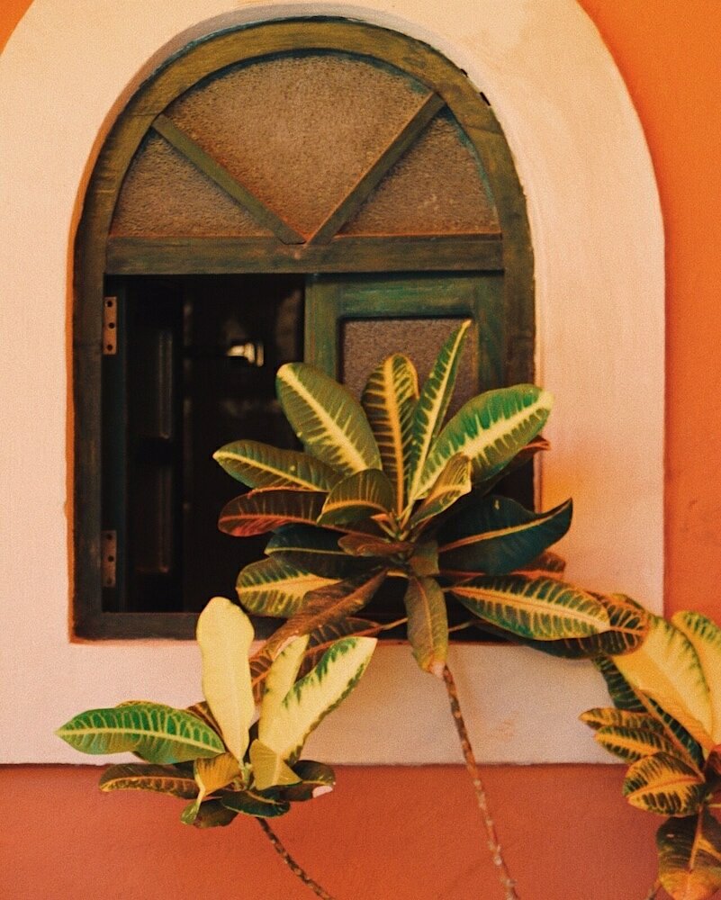 Фото Hotel Belmar