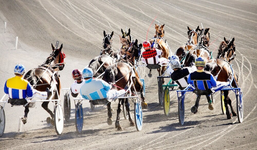 Фото Saratoga Casino Hotel