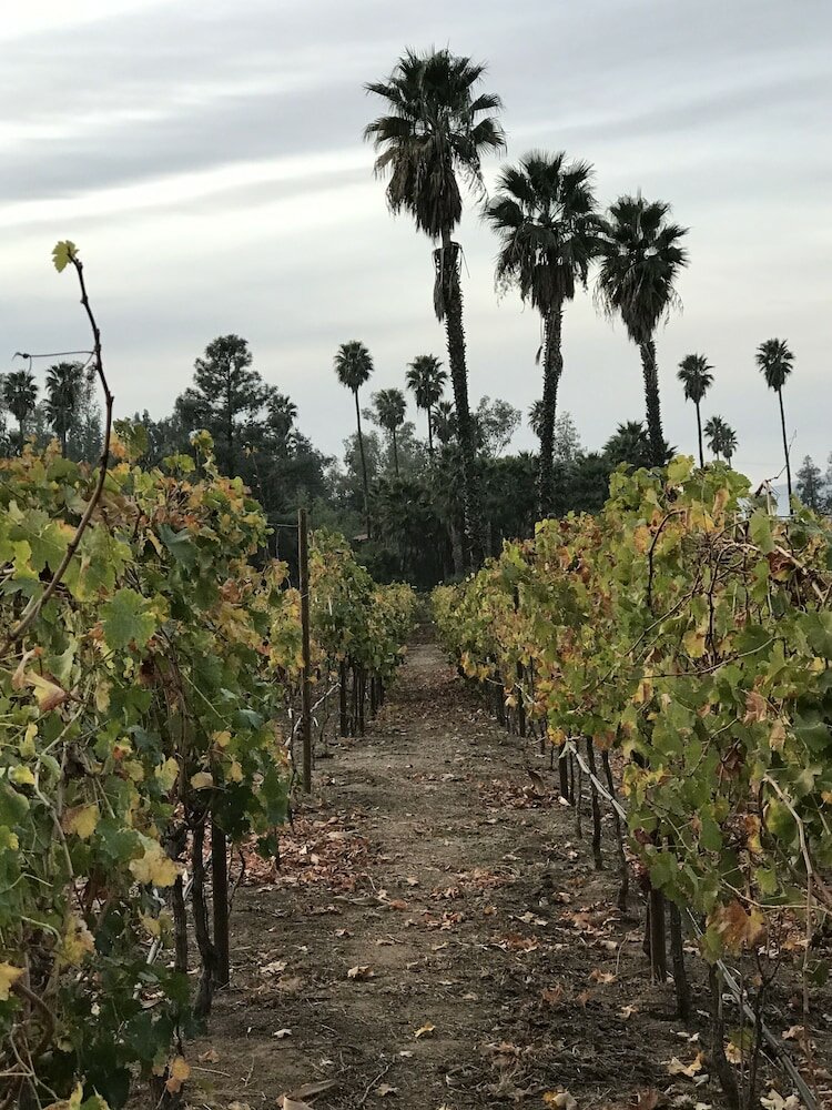 Фото Hotel Boutique Rancho Tecate