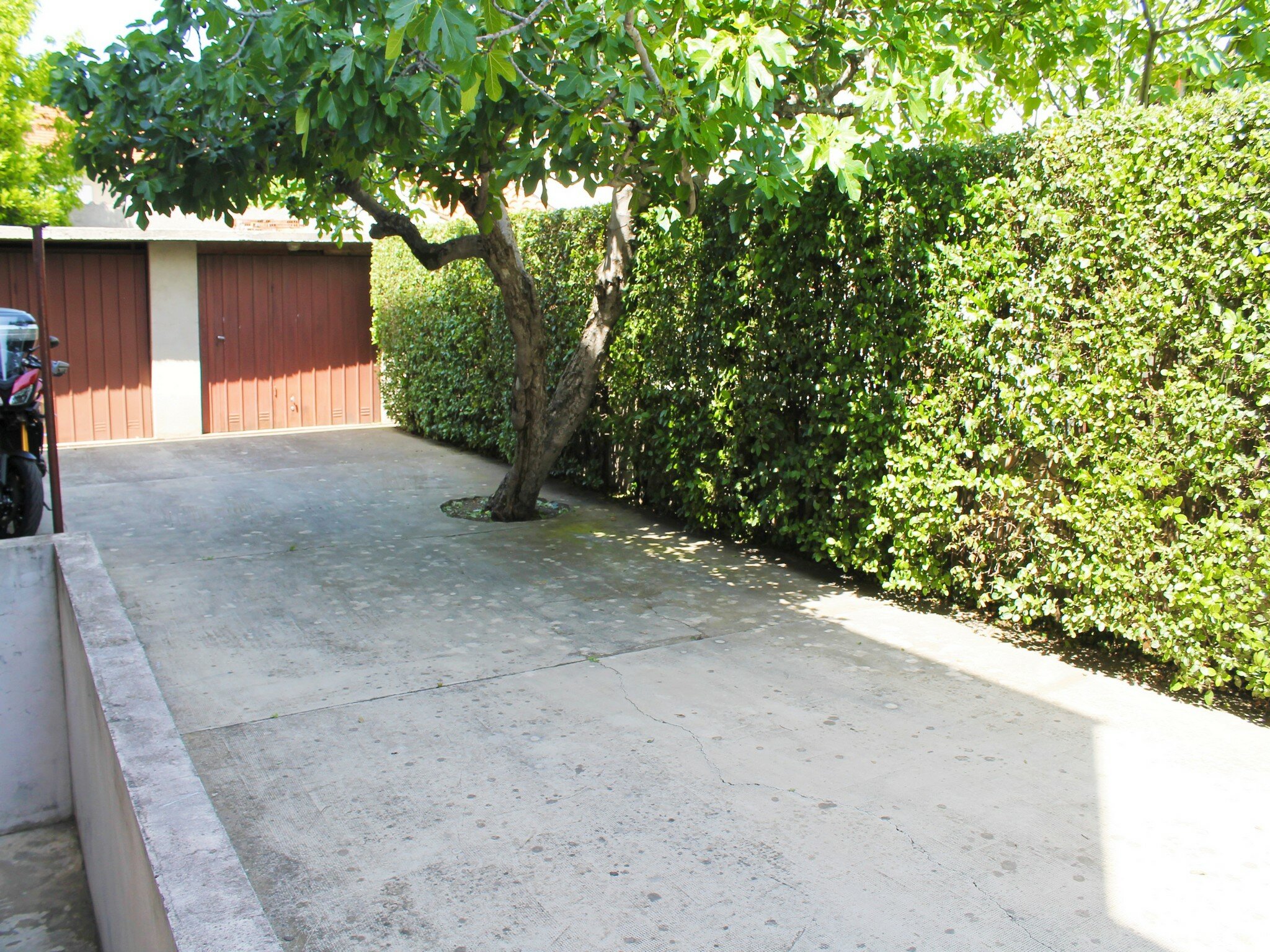 Фото Katija Apartments