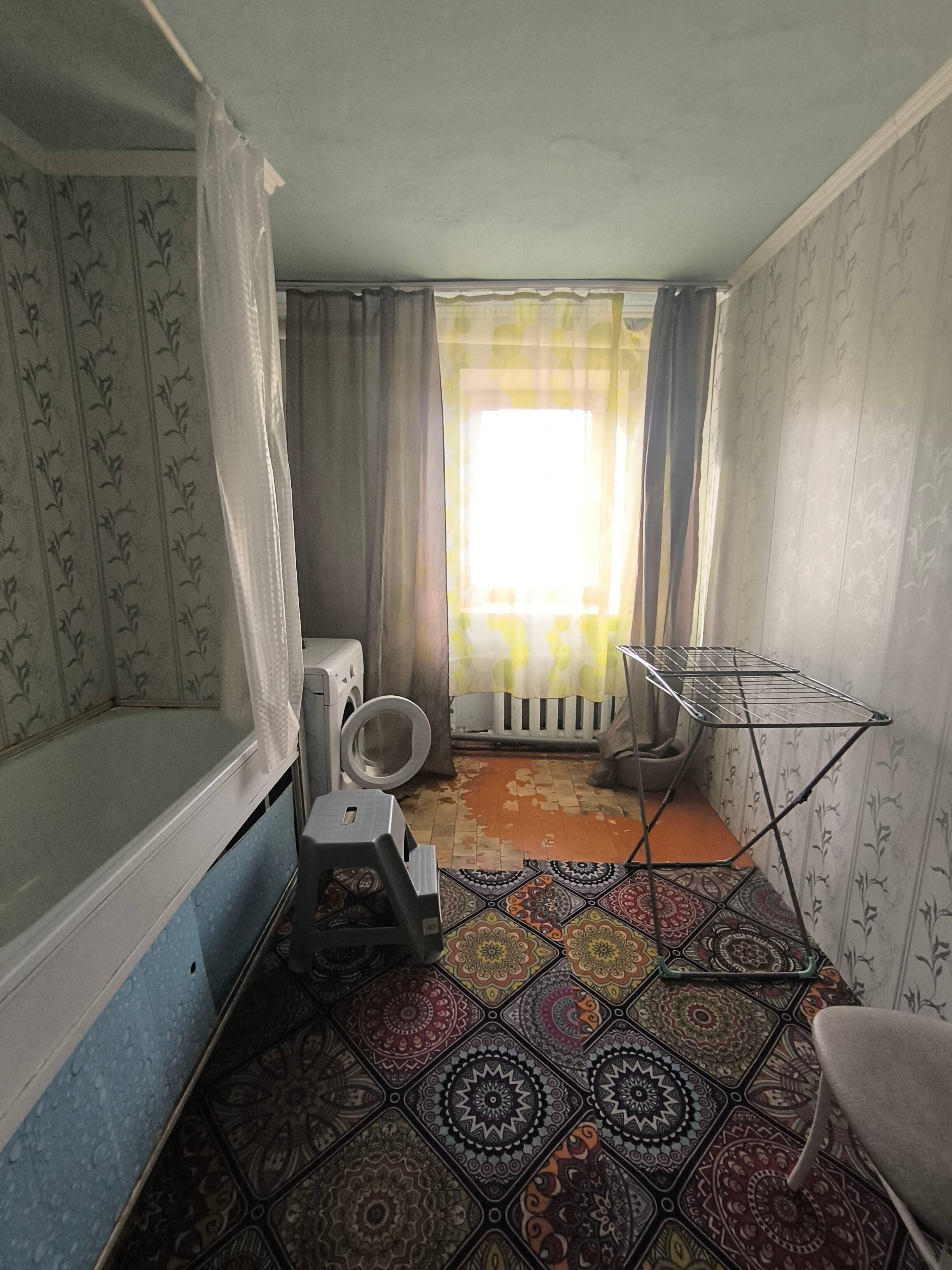 Фото Дружба