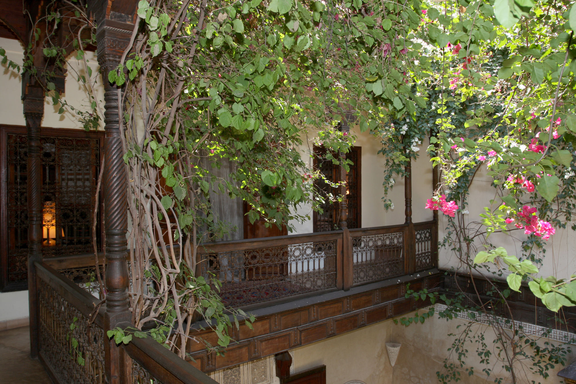 Фото Riad Samsara