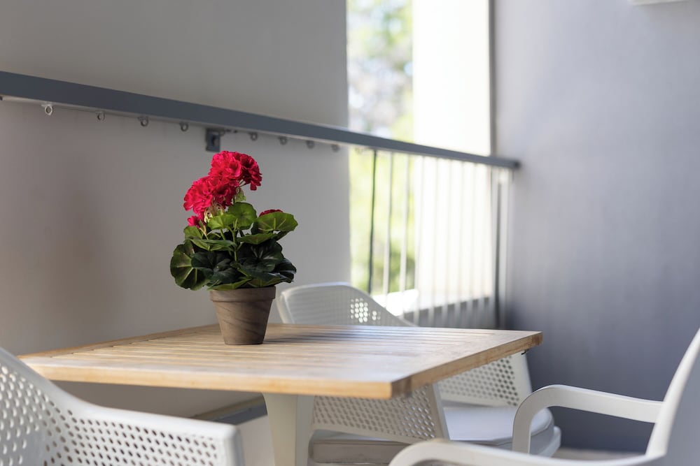 Фото Hotel Salona Palace