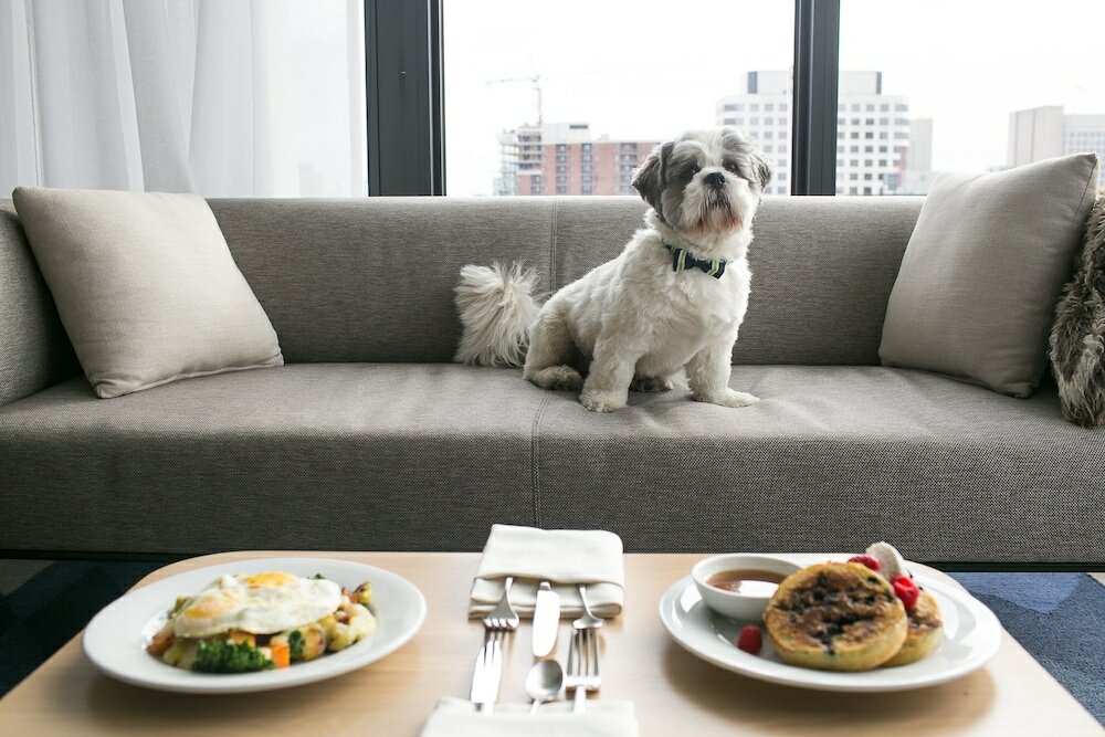 Фото Andaz Ottawa Byward Market