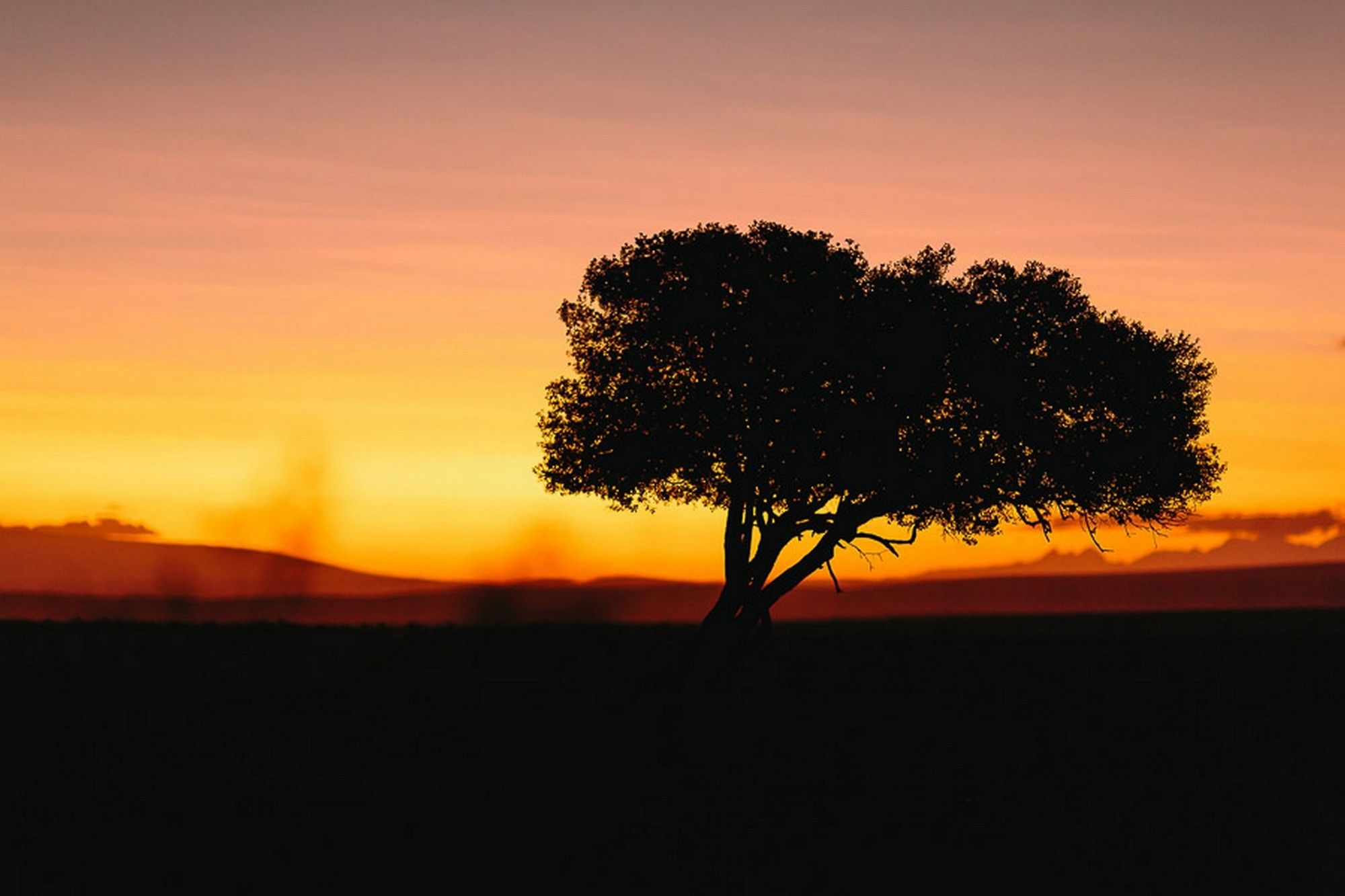 Фото AfriCamps Klein Karoo