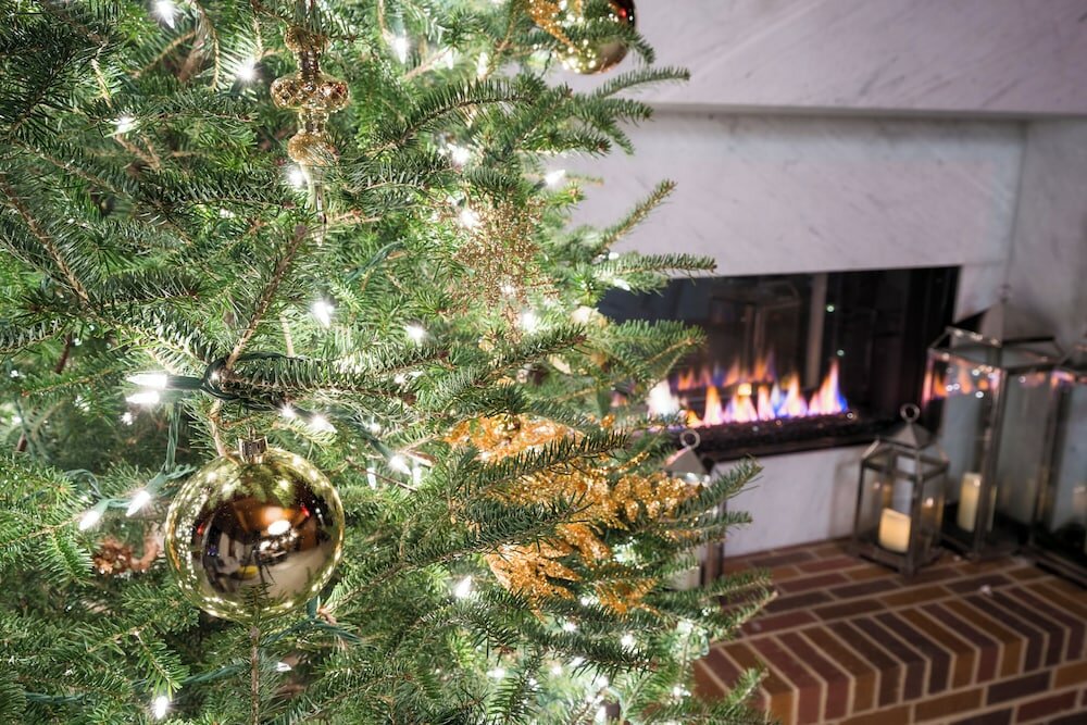 Фото Virgin Hotels New Orleans