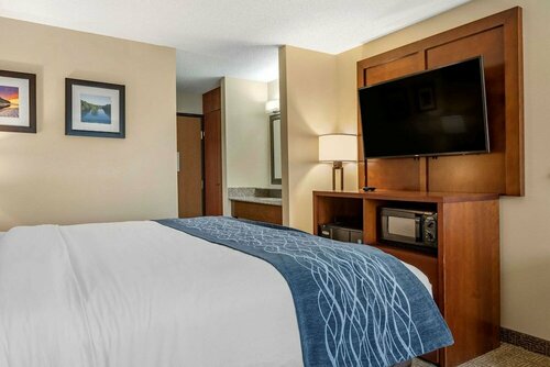 Гостиница Comfort Inn & Suites Diamondale – Lansing в Лансинге