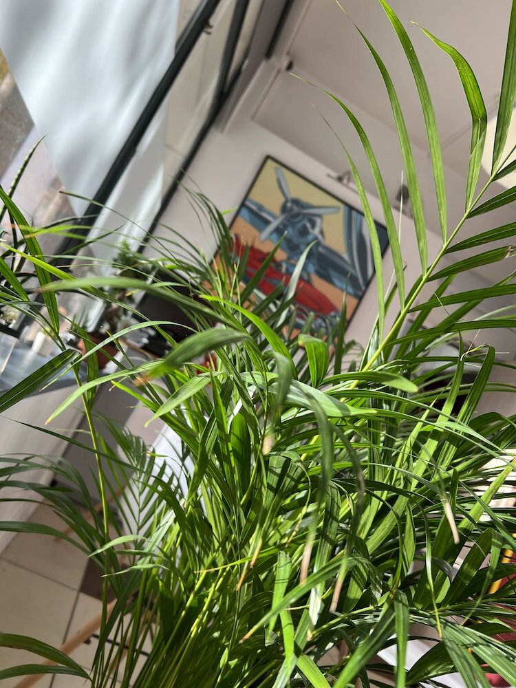 Фото Hôtel Vieille Tour Centre Rouen