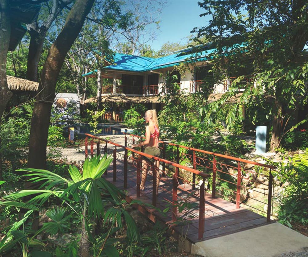 Фото Olas Verdes Hotel