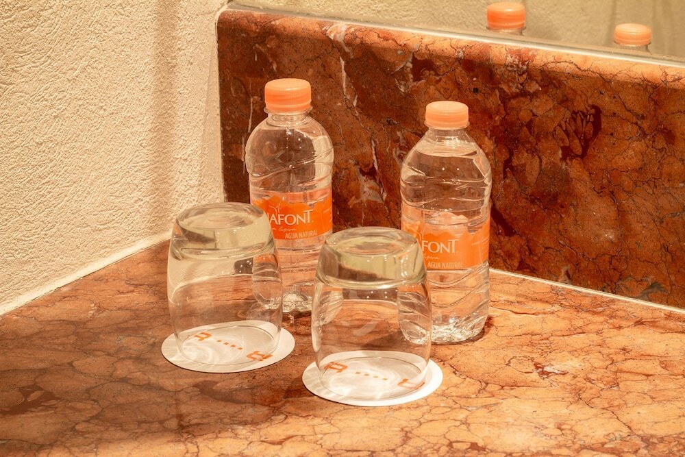 Фото Real Inn Guadalajara Expo