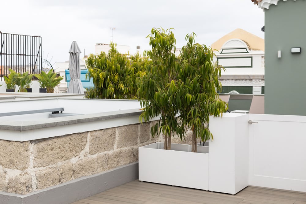 Фото Suites 1478