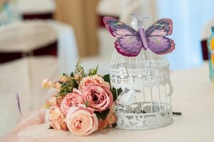 Гостиница Hotel Arnia