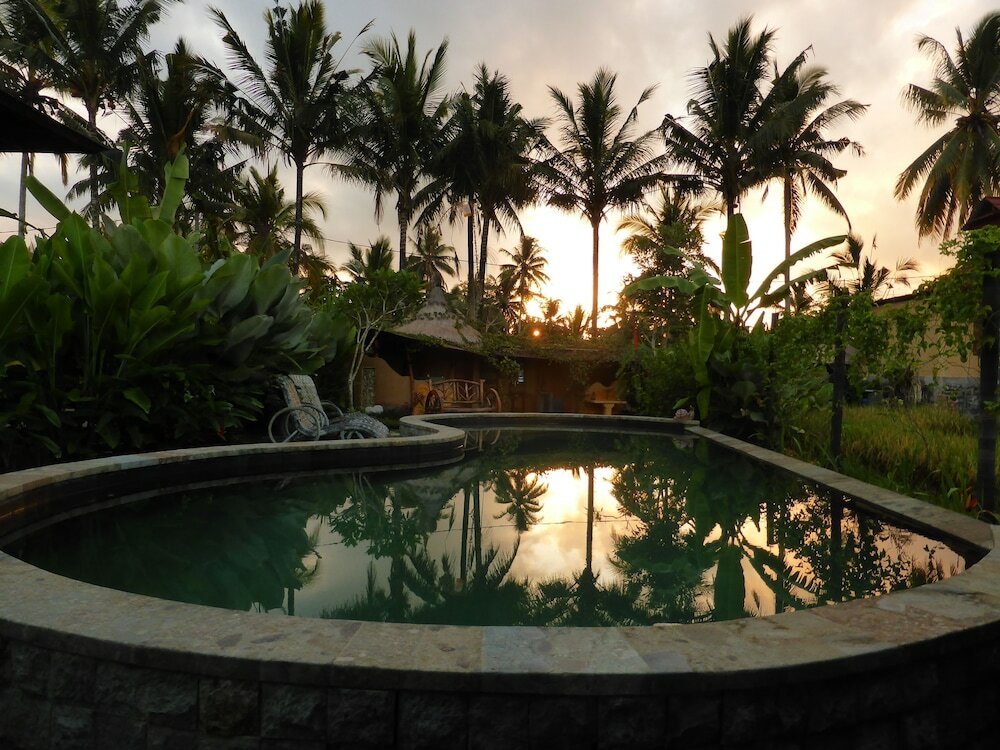 Фото Dragonfly Village