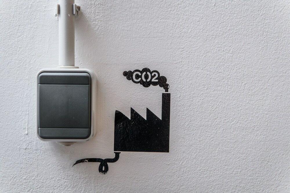 Фото Swanky Mint hostel