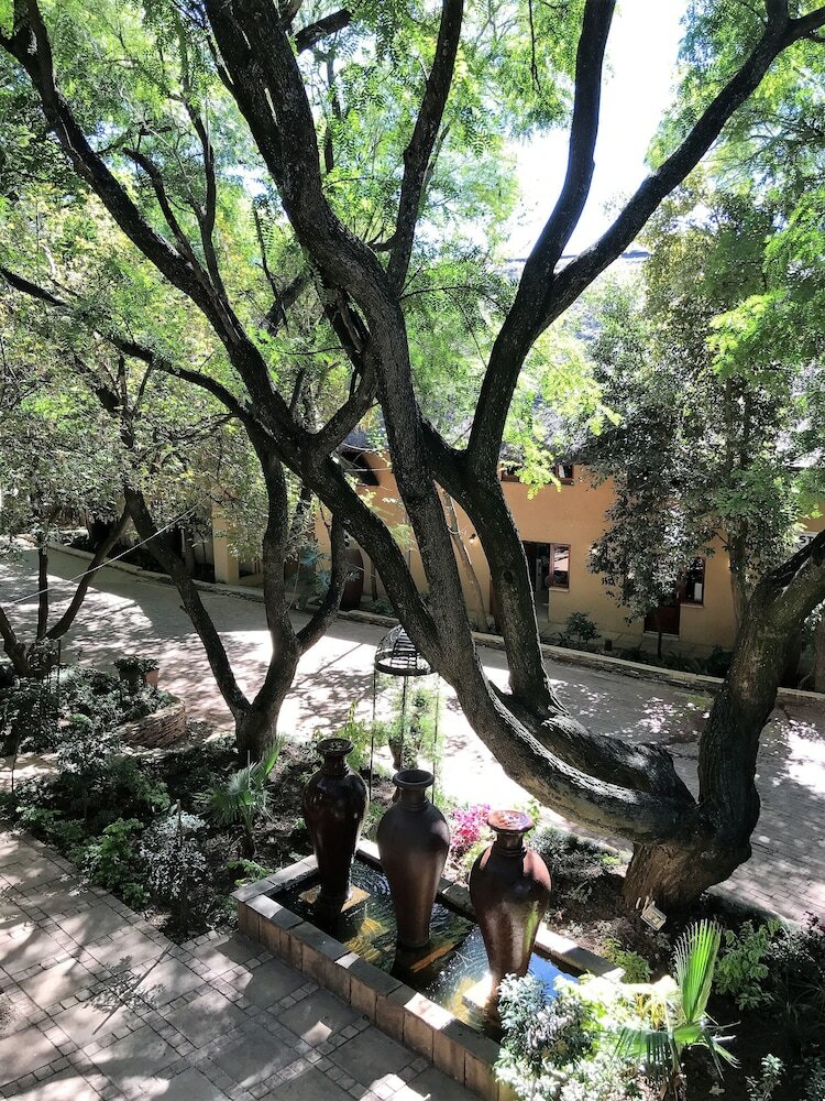 Фото The Garden Venue Boutique Hotel