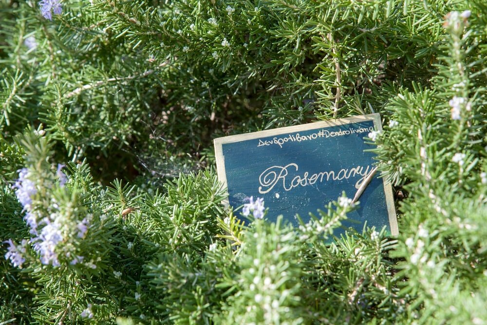 Фото Serenity River Villa