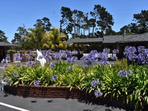 Гостиница Padre Oaks