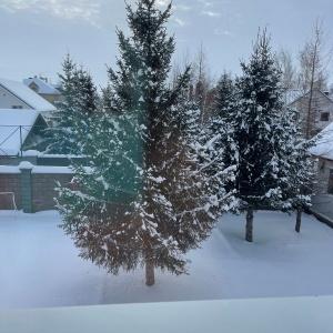 Фото Апарт-отель на Берёзовой