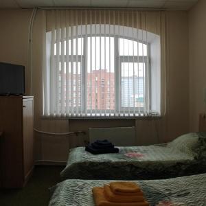 Фото Соболь