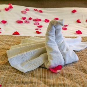 Фото Домино