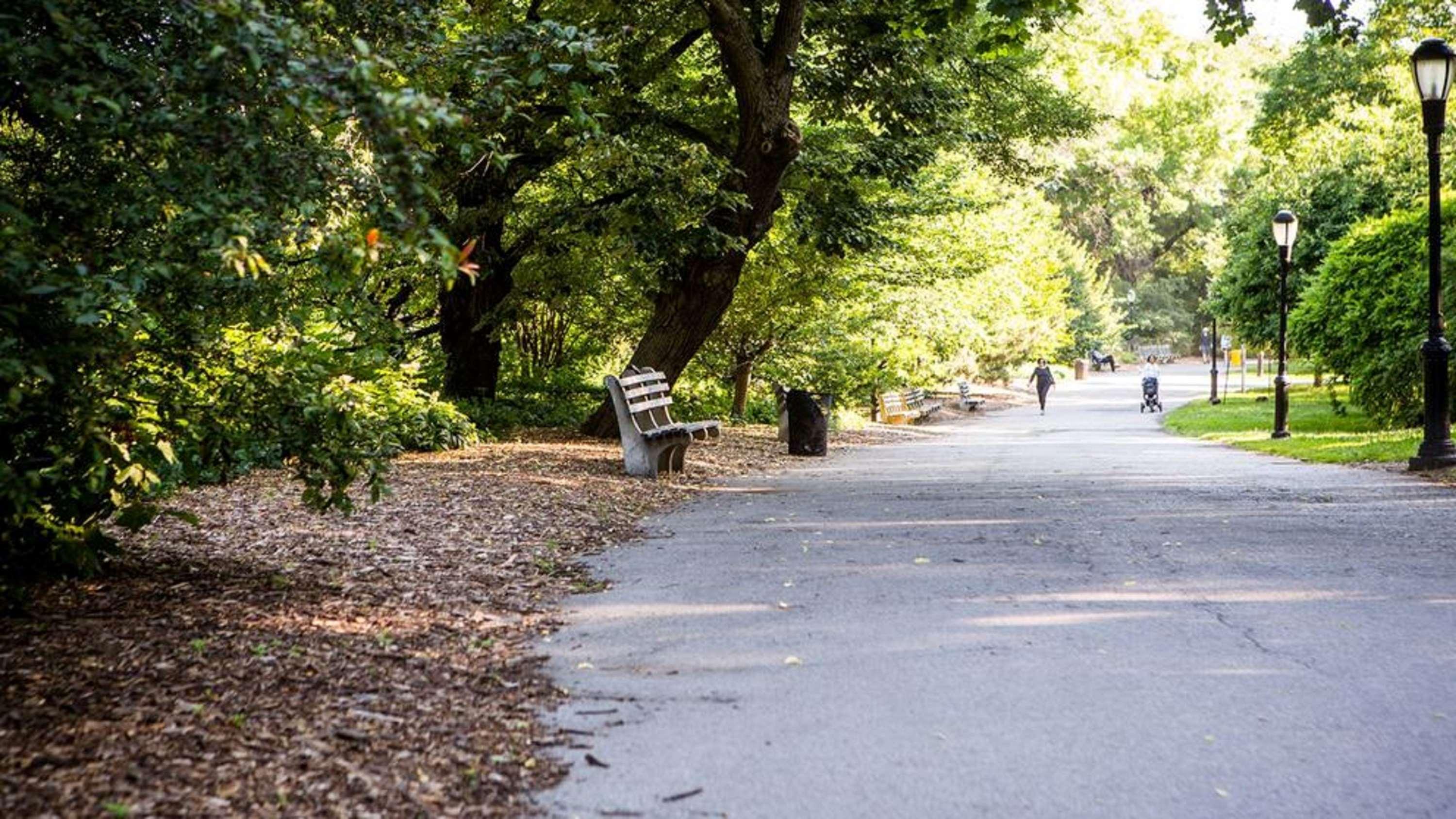 Фото Riverside Tower Hotel