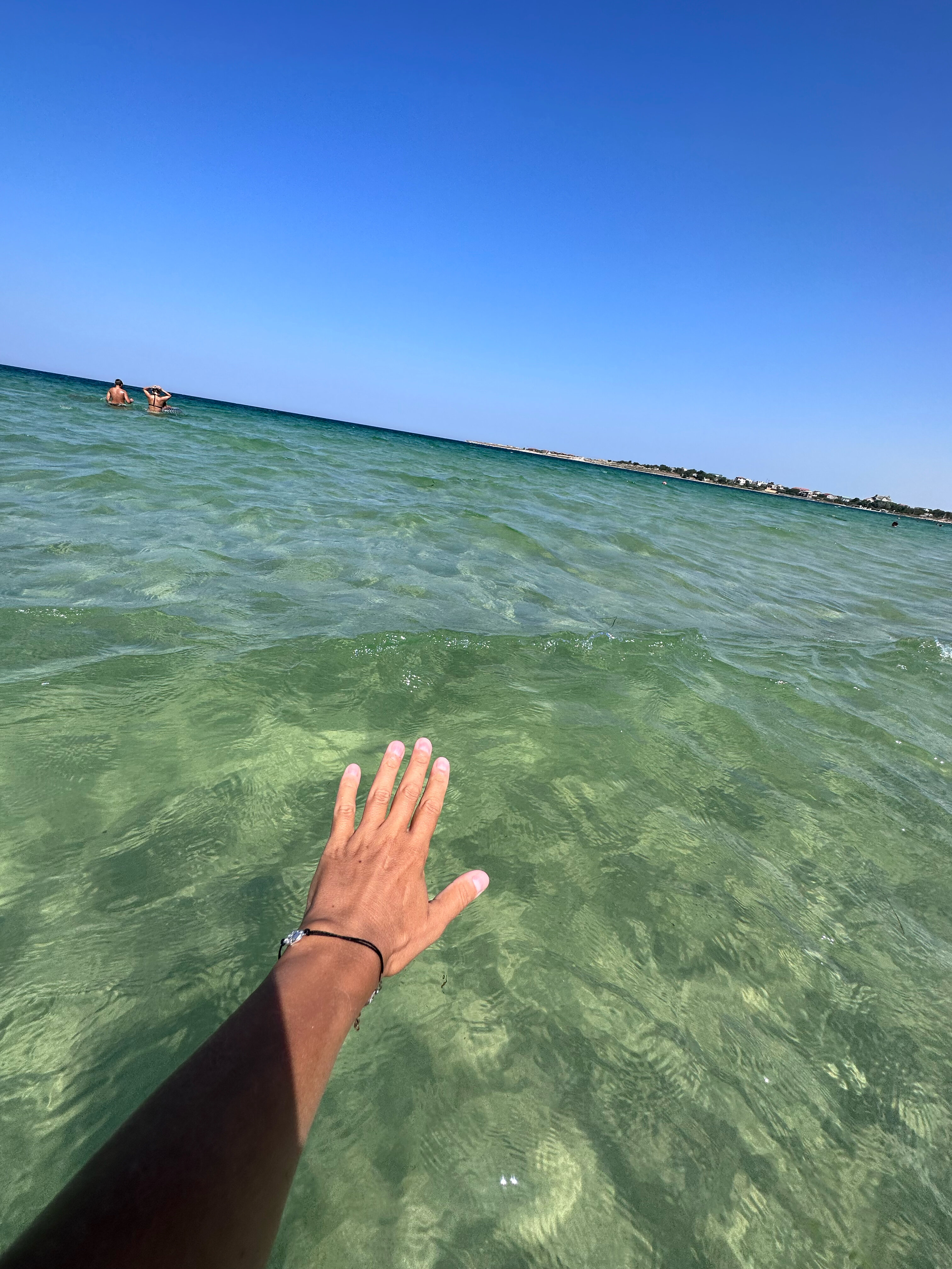 Фото Георгинн