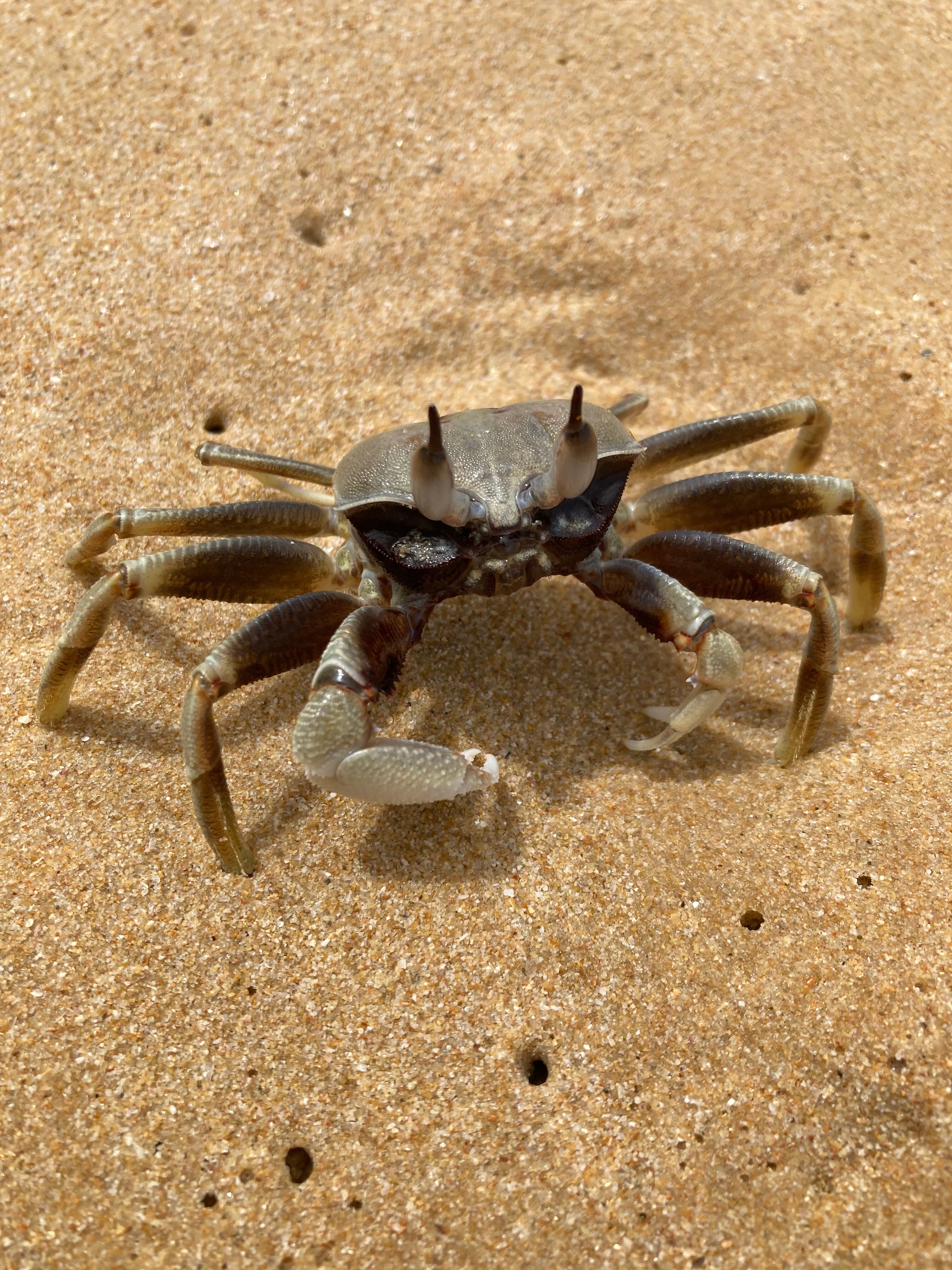 Фото Naithonburi Beach Resort