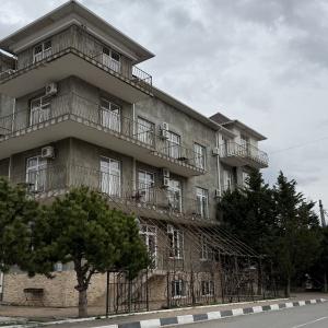 Фото Море и Пальмы