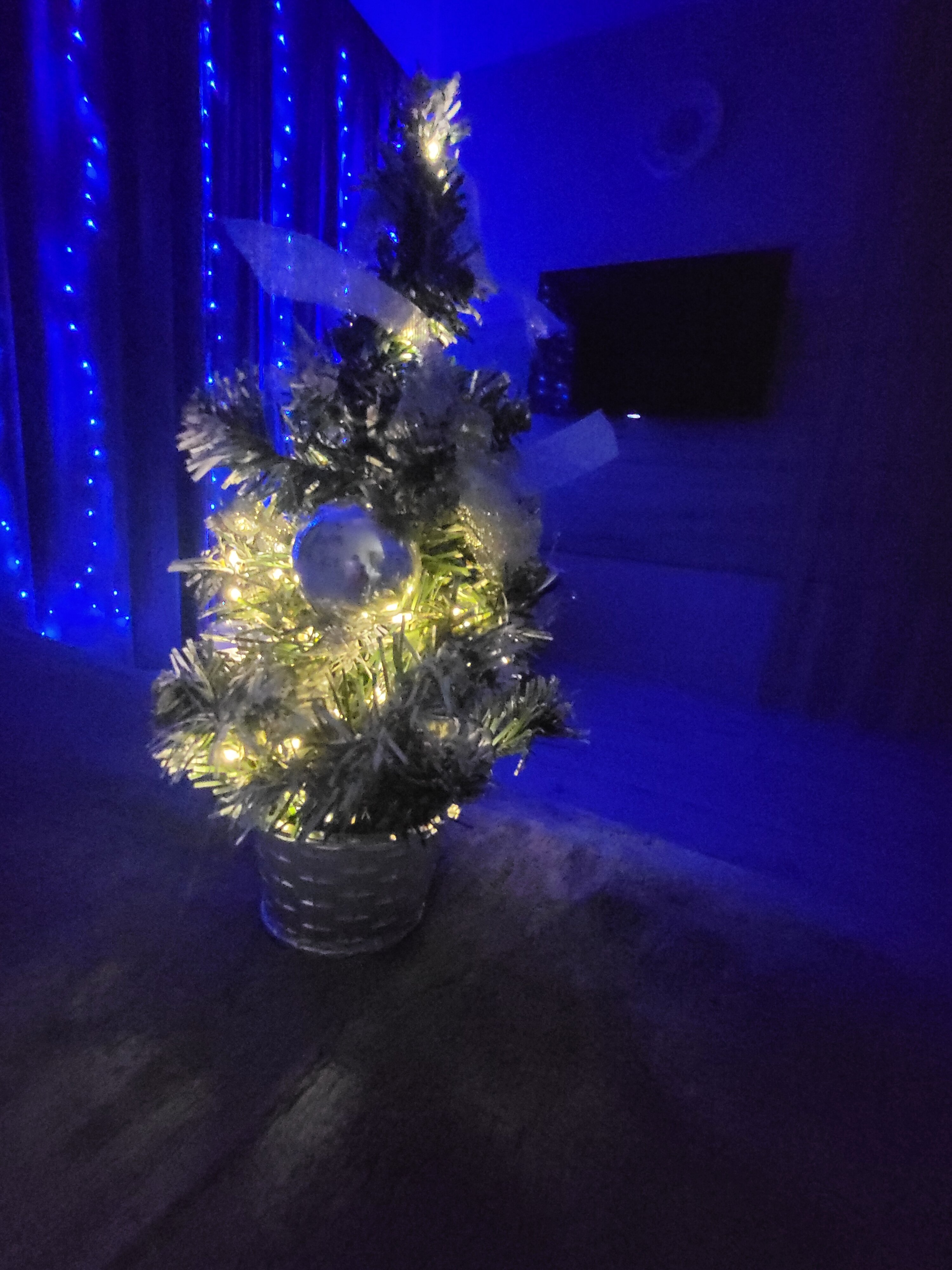 Фото Уютная студия на Западном