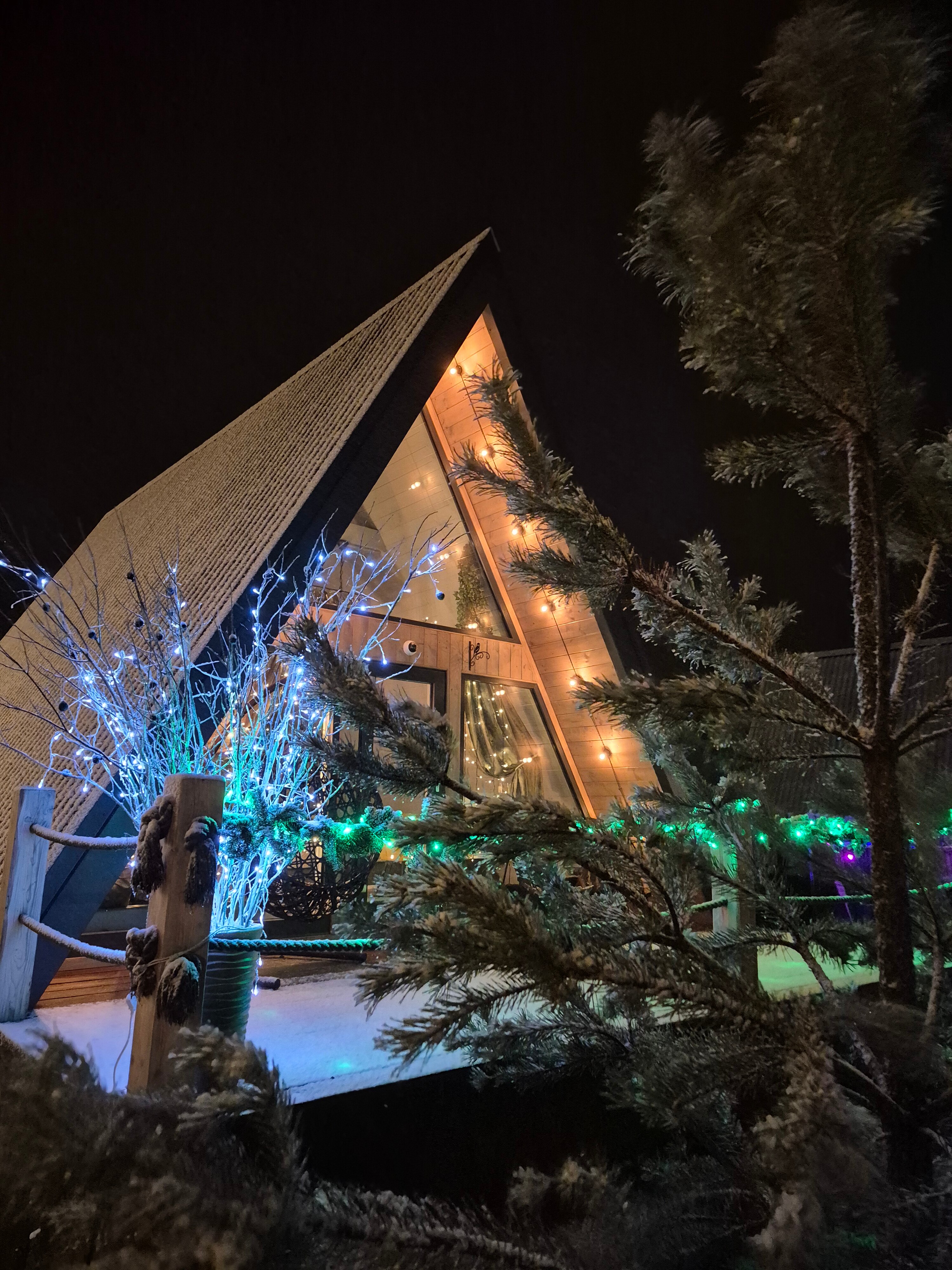 Фото А в лесу