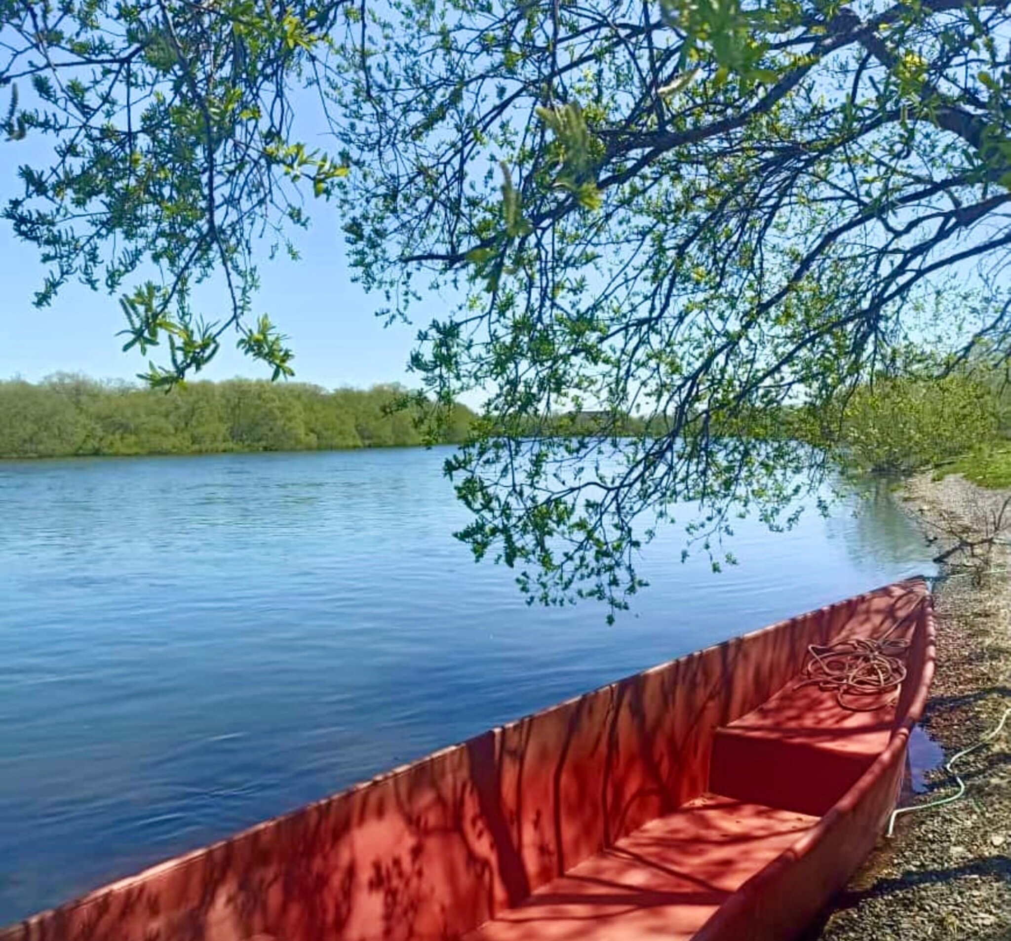 Фото ПроЛосось