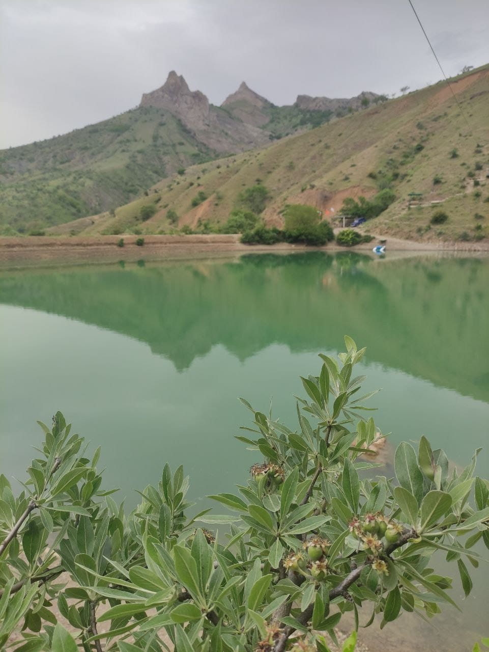 Фото Усадьба в Зеленогорье
