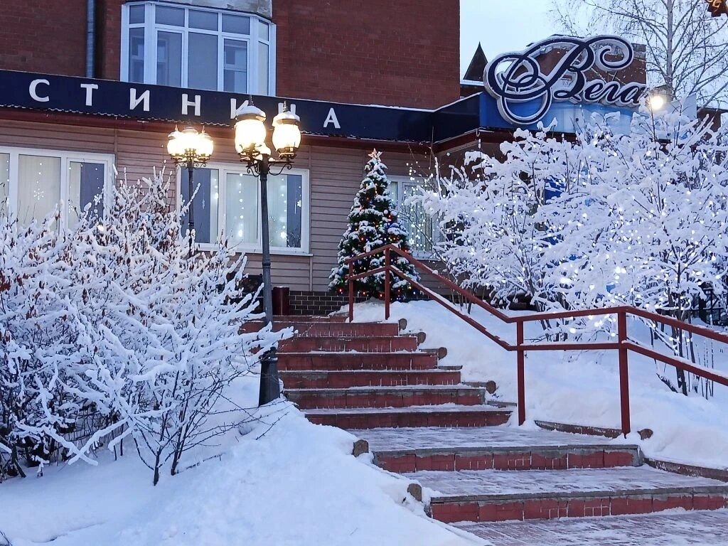 Фото Вега
