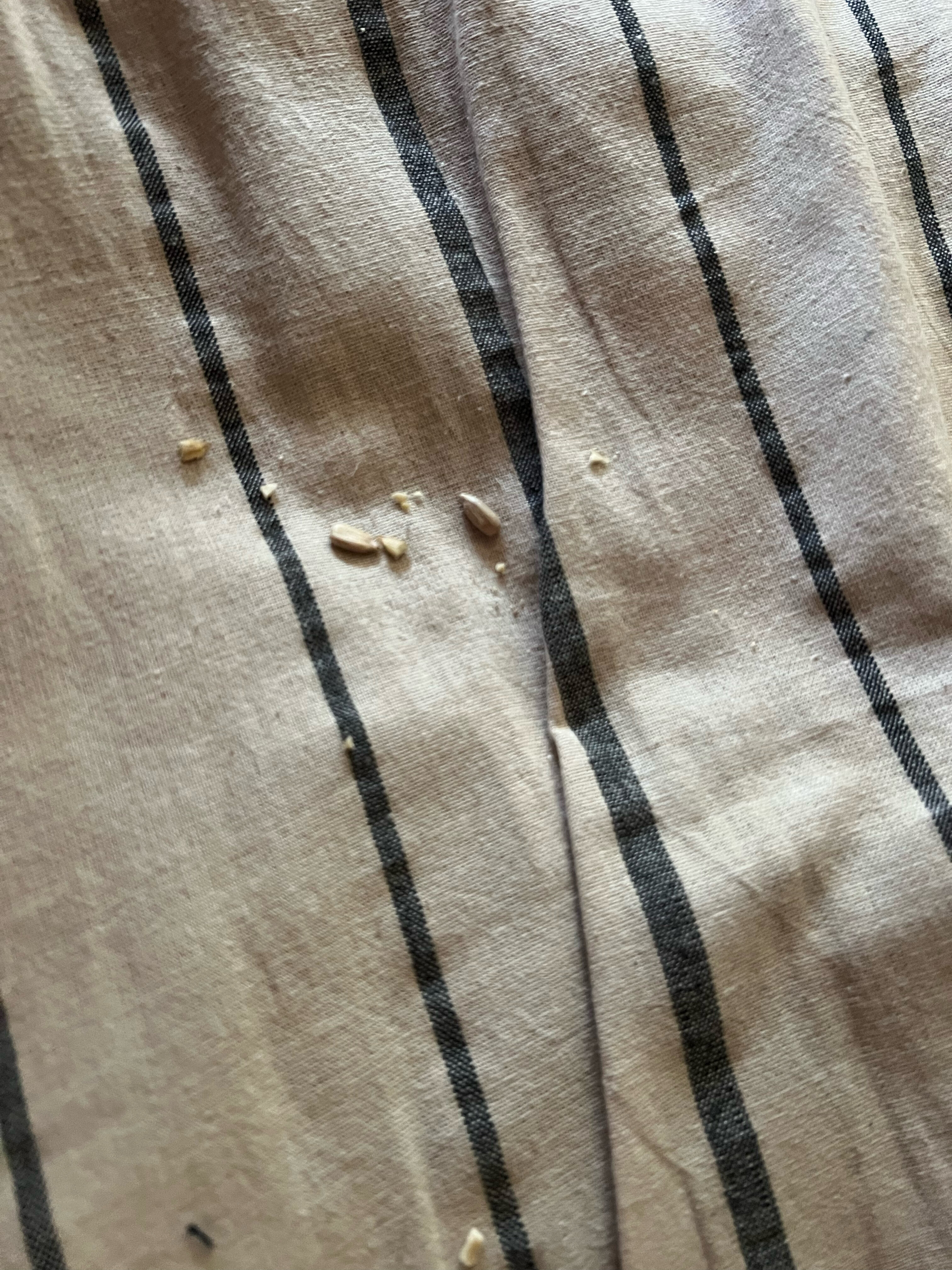 Фото Бархат