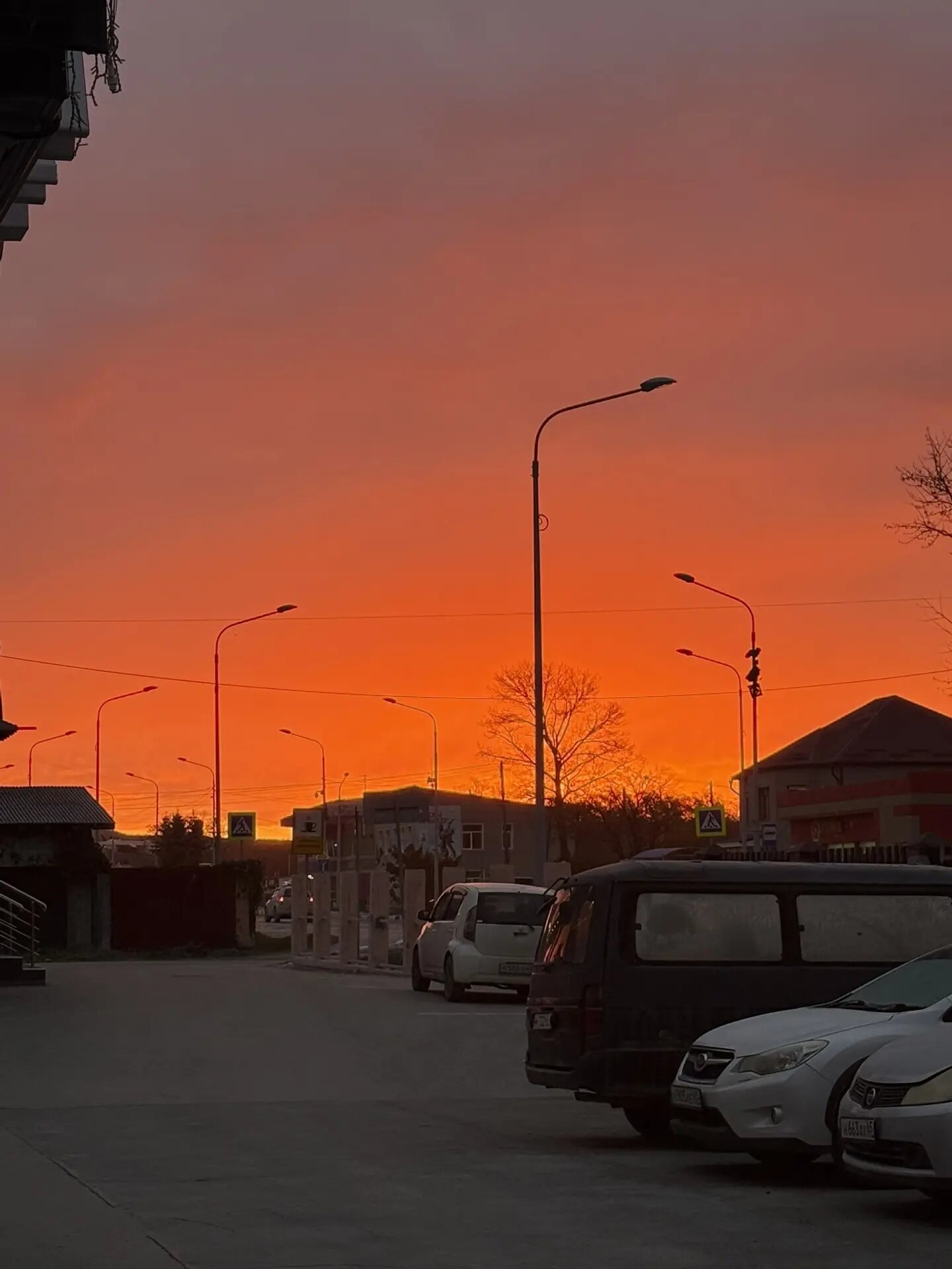 Фото Альфа
