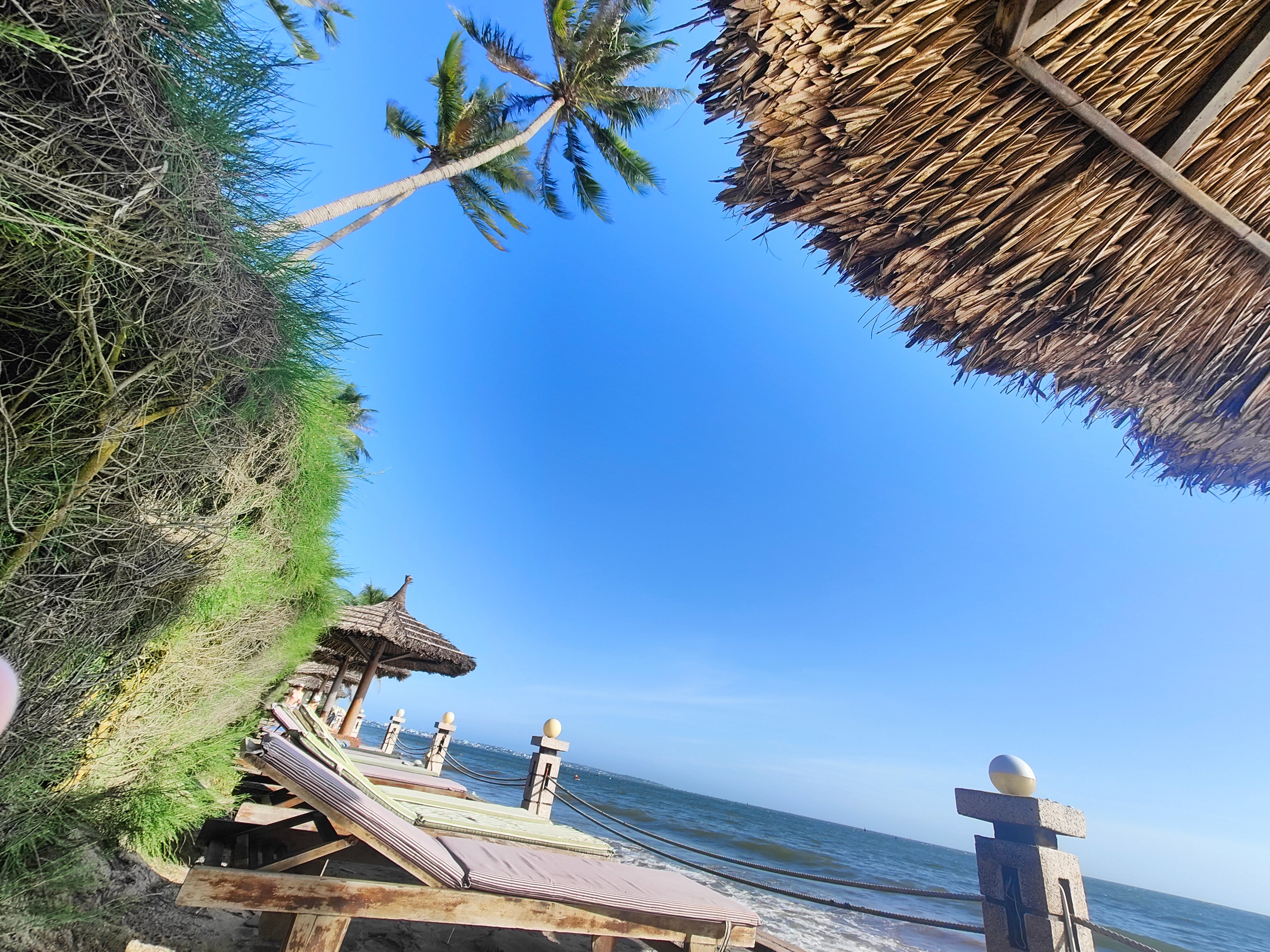 Фото MuiNe Century Beach Resort and SPA