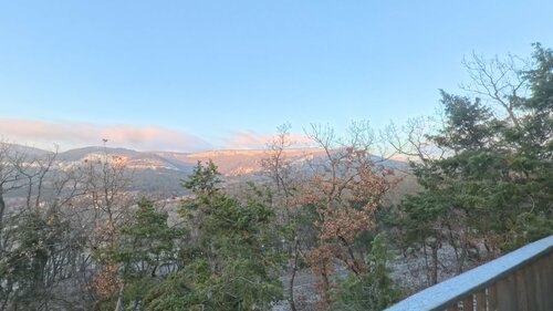 Домики в лесу Шули — фото 4