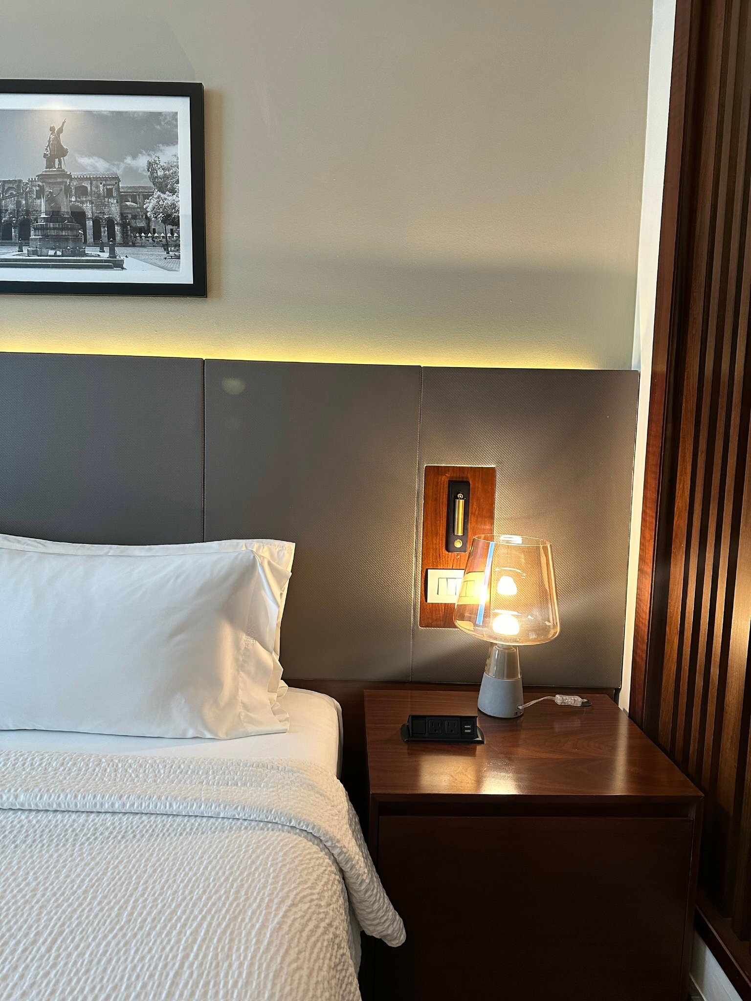 Фото Holiday Inn Santo Domingo