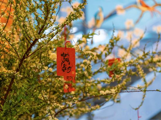 Фото Seahorse Tropical Da Nang Hotel by Haviland