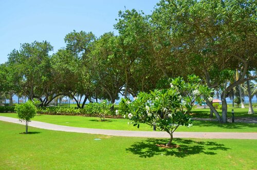 Гостиница Crowne Plaza Resort Salalah в Омане